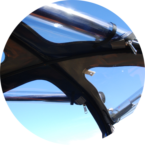 A photograph of sliced kiwifruit on a while plate